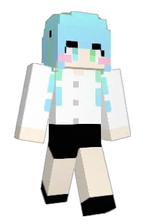 S2UN1S2 Minecraft avatar full body