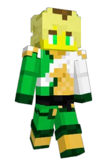 S4aaal Minecraft avatar full body