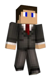 S4lleh Minecraft avatar full body