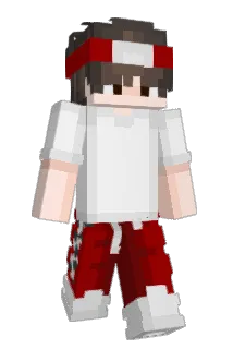 S4mtz Minecraft avatar full body