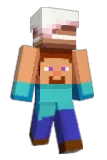 SAASKEEE Minecraft avatar full body