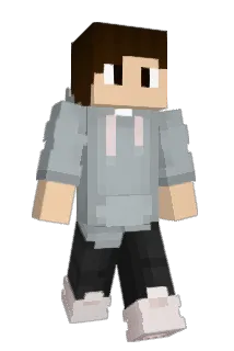 SADU1 Minecraft avatar full body
