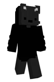 SAGAMING Minecraft avatar full body