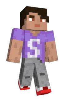 SAIDI36 Minecraft avatar full body