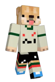 SAIJOKE Minecraft avatar full body