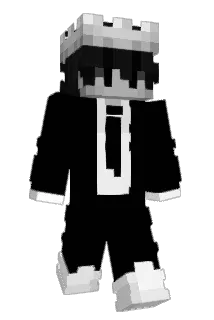 SALAMx2 Minecraft avatar full body