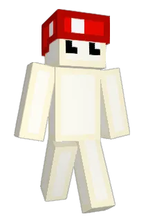 SALICZKA Minecraft avatar full body