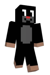 SAPER_YT Minecraft avatar full body