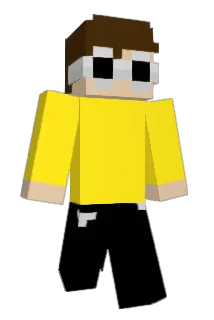 SAPIN013 Minecraft avatar full body