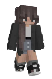 SAS1010 Minecraft avatar full body