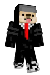 SATA19P Minecraft avatar full body