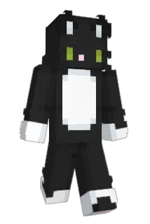SD629 Minecraft avatar full body