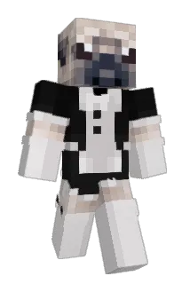 SDAN2210 Minecraft avatar full body