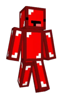 SDCGaming12 Minecraft avatar full body