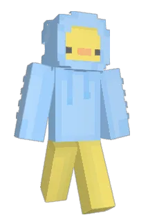 SDSE Minecraft avatar full body