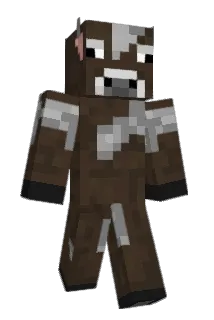 SDesc Minecraft avatar full body