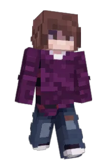 SDinnit Minecraft avatar full body