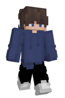 SDwh195 Minecraft avatar full body