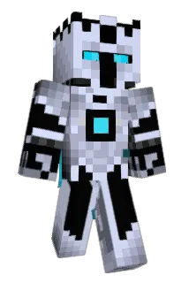 SEAGULLS140 Minecraft avatar full body