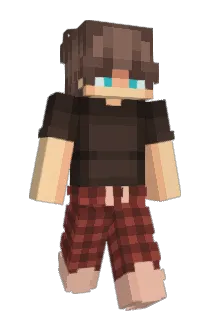 SEANANIMATIONS Minecraft avatar full body