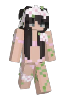 SECSSPY Minecraft avatar full body