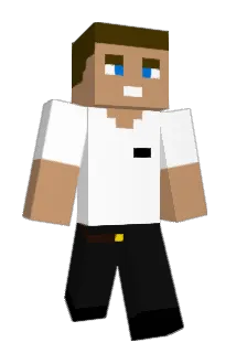 SEIDER6705 Minecraft avatar full body