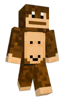 SELIMSultanTv Minecraft avatar full body