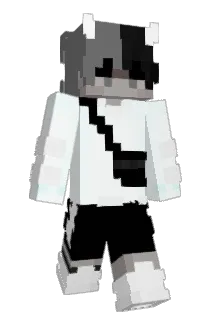 SEPEHRSPR Minecraft avatar full body