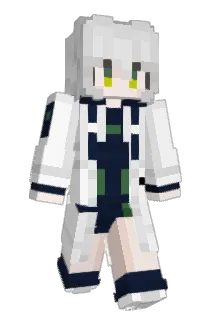 SFCCCPF Minecraft avatar full body