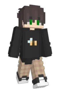 SFTB Minecraft avatar full body