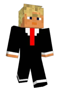 SF_9527 Minecraft avatar full body
