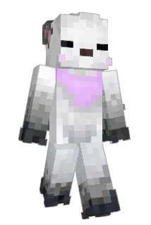 SFoxwood Minecraft avatar full body