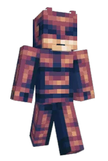 SGD Minecraft avatar full body