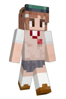SGZ706 Minecraft avatar full body