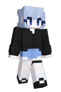 SH_512 Minecraft avatar full body