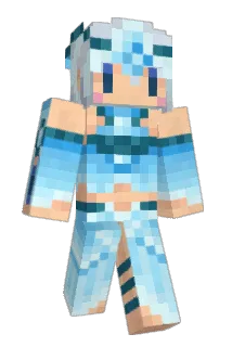 SINGDK Minecraft avatar full body
