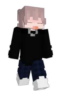 SJ1014 Minecraft avatar full body