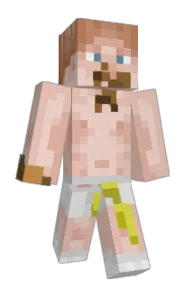 SJNhwk Minecraft avatar full body