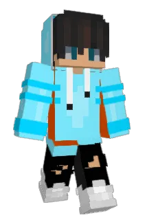 SJUNS11 Minecraft avatar full body