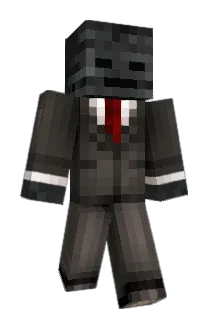 SK960 Minecraft avatar full body