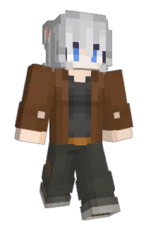 SKY806 Minecraft avatar full body