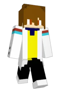 SKYY1005 Minecraft avatar full body
