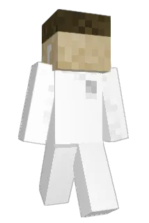 SLY18_ Minecraft avatar full body