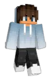 SL_Gaming Minecraft avatar full body