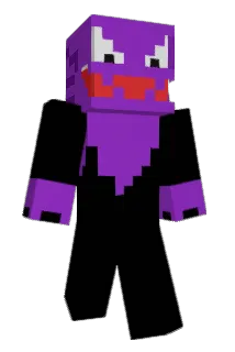 SMDJ9 Minecraft avatar full body