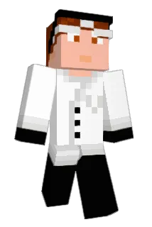 SME4DE Minecraft avatar full body