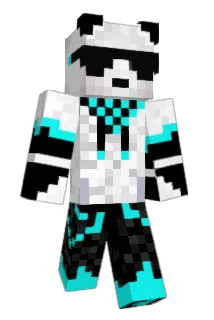 SMP116 Minecraft avatar full body