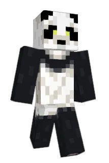 SN0Wowl Minecraft avatar full body