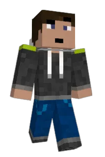 SNFLK Minecraft avatar full body