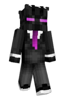 SN_081 Minecraft avatar full body